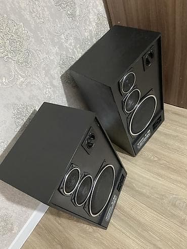 декодер 5 1: Акустическая система Radiotehnika S-90 (пара колонок) - Тип — 4