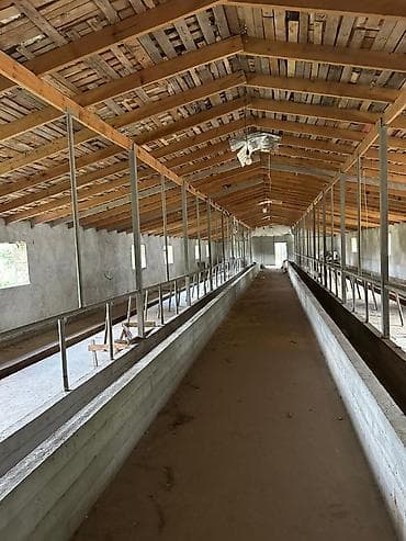 пл: Продаётся участок с хозяйственным комплексом и жилым домом. Новый — 7