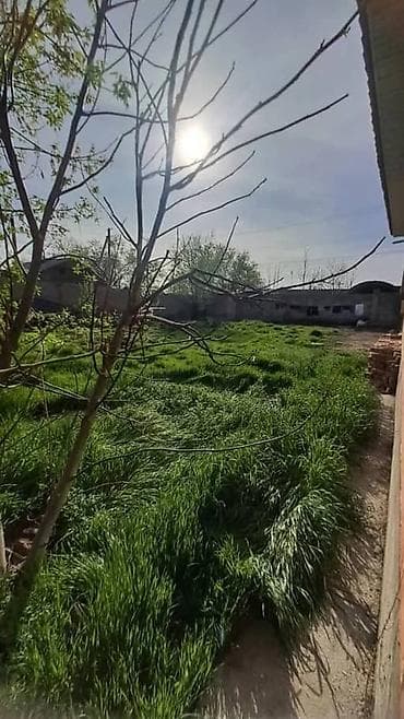 село полтавка: Продаю дом центр,рядом Элдик банк,Осмонова,газовое отоплениебольшой — 5