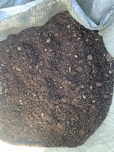 продаю кукуруз: Плодородный грунт (чернозём/почвосмесь для огорода и газона) — 2