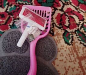 наполнитель для кота: Шотландская вислоухая кошка (Scottish Fold) с комплектом аксессуаров — 8