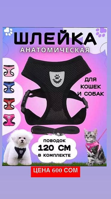 Үй жаныбарлары: Одежда для кошек и собак. Все НОВОЕ РАЗМЕР И ЦЕНА УКАЗАНЫ НА ФОТО — 10