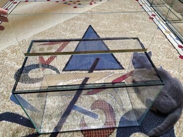 аквариумная рыбка: Аквариум 50 литров с крышкой. 
Новый — 6