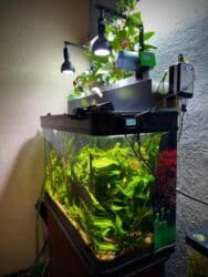 аквариумный фильтр: Продаётся заводской аквариум. Объем: 200 л Размеры : Длина 100 см — 12