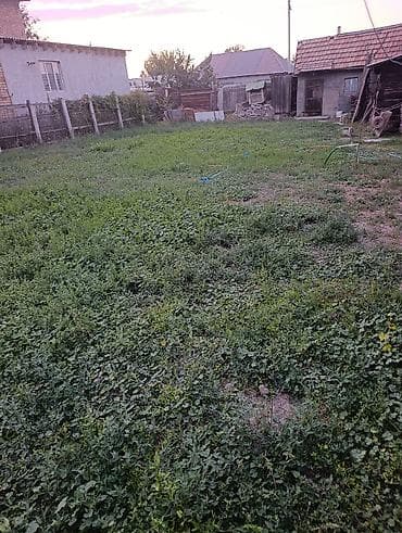 бекер уй: Дом продаю город кант ул. Люксембург 41, дом топим печкай и газовым — 10