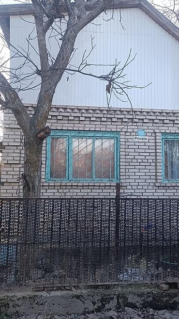 Каменные заборы: Кирпичные заборы, Покраска забора — 4