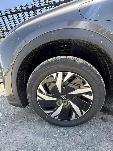 byd son plus: BYD : 2026 г., Электромобиль, Кроссовер — 2