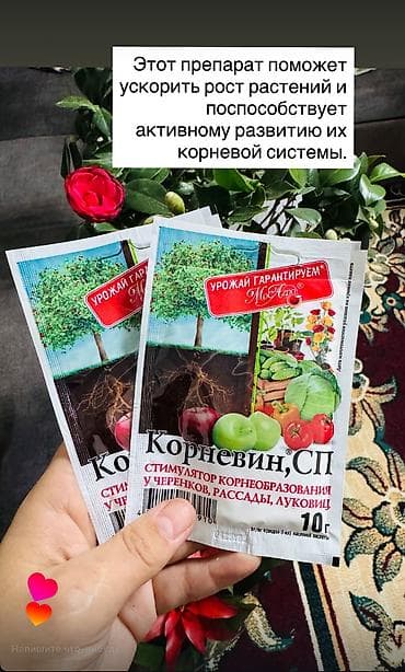 Корневин, СП — порошковый стимулятор корнеобразования для черенков