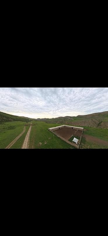 продаю дом бишкек ак босого: Продаю кошару в урочище "Бөксө" выше с. Нижняя Серафимовна Ысык — 7