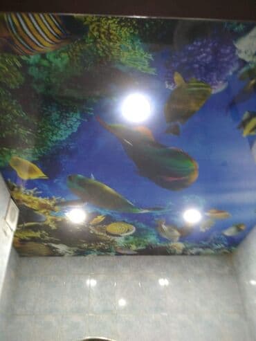 Натяжной потолок Глянцевое, 3D потолки