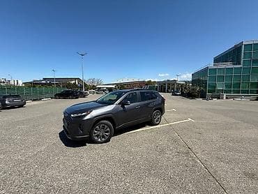 рав 4 2019: Toyota RAV4: 2023 г., Кроссовер — 5