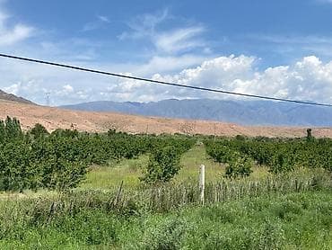 участок жалабад: 680 соток, Для бизнеса, Договор купли-продажи — 3