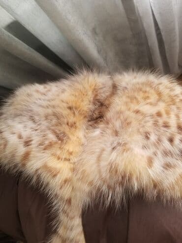 прокат мужских костюмов [возьми на прокат] бишкек фото: Пуховик, По колено, С мехом, XL — 2