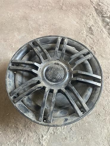 Динамик НЧ/СЧ для акустических систем - Тип: пассивный динамик