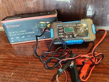 mini gps tracker: Зарядное устройство RT Tianye 12V Intelligent Pulse Repair Charger — 1
