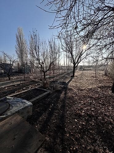 нижный ала арча: 7 соток — 2