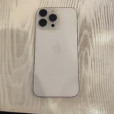 IPhone 13 Pro, Серебристый