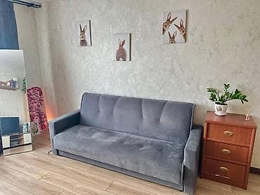 сутучный кывартира: 1 комната, Риэлтор, Без животных, С мебелью частично — 2