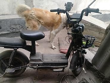 купить электрический скутер: Электрический скутер-компакт Описание: - Городской электроскутер с — 3