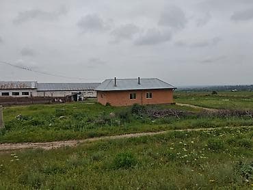 бишкек продаю дом село нижний алаарча: Сдаю действующий фермерский комплекс для КРС. Электричество и вода — 2