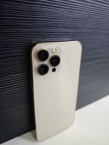 ipad mini: IPhone 13 Pro Max, Б/у, 512 ГБ, Серебристый, Защитное стекло, Чехол, 79 % — 7