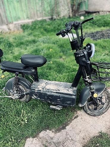 format velosiped: Электровелосипед — 1