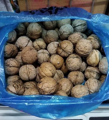 Продам орехи at lalafo.kg Продам орехи