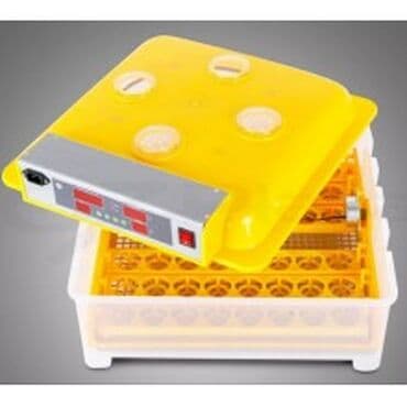 где можно купить молодых кур несушек: Мини инкубаторы, на 98 яиц,36 яиц На 48 яиц Акция !!!! 5500с на 98 — 2