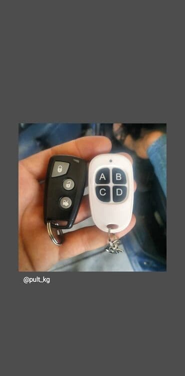 пропуск: Профессионально изготовим пульты для автоматических ворот — 8