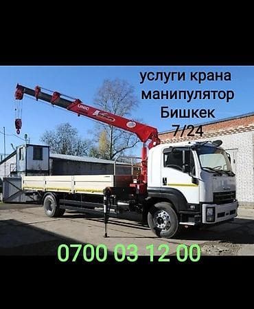 caterpillar: Стрела 10 м, 3 т — 1