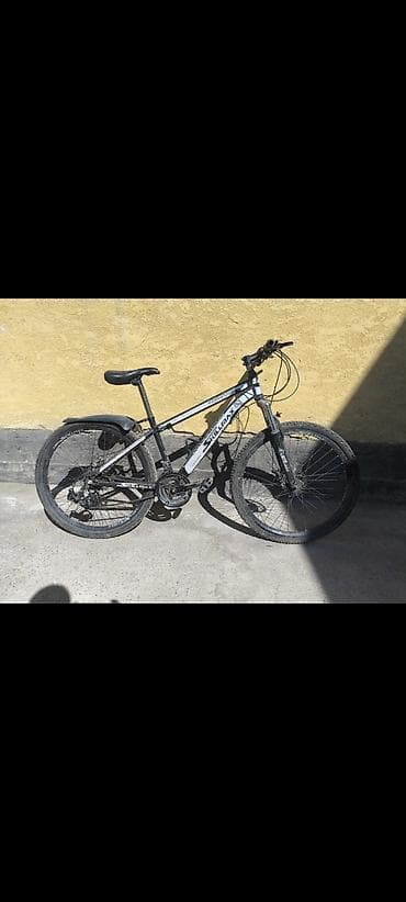 Горный велосипед, Skillmax, Рама M (156 - 178 см), Сталь, Б/у