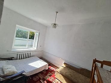 студия бишкек: 105 м², 6 бөлмө жана андан көп, Жаныбарлар менен болот — 9