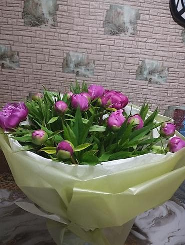 купить веники оптом: Продаю пионы,срез каждое утро, количество ограничено,цвета розовые и — 2