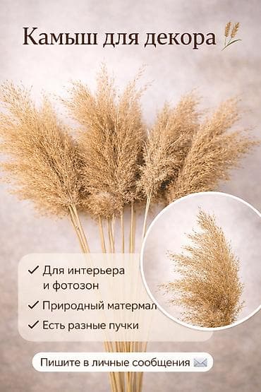 Камыш для декора - Натуральные сухоцветы в тёплом бежево-золотистом