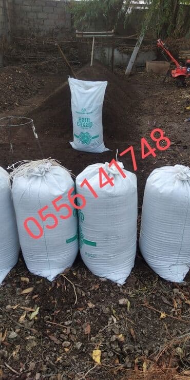 чернозем для газона: Земля,грунт, перегной, чернозем доставка по городу бесплатно от 11 — 1