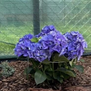 одежда оптом дордой: Декор для дома и сада, Платная доставка, Самовывоз — 10