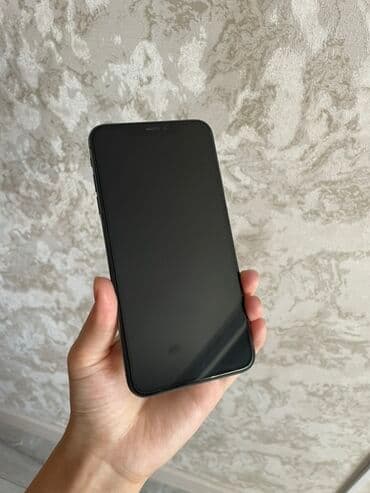 камеры для машины: IPhone X, Черный — 2