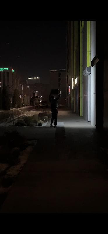 Комнатные растения: Мощные Солнечные уличные прожекторы LED 300W. с выносной солнечной — 9