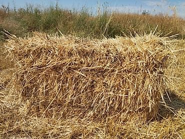 сборка клубники: Солома в тюках Описание: - Прессованные прямоугольные тюки соломы из — 1