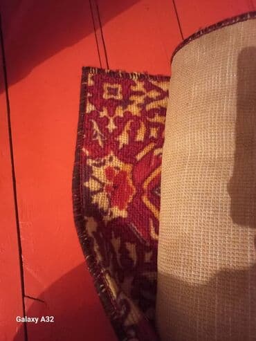 комнатные растения из голландии в бишкек каталог: Дрова — 14