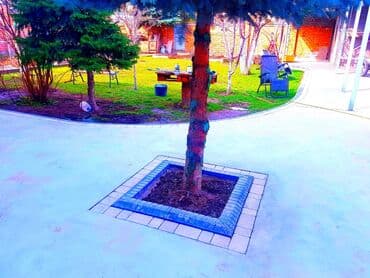 искусственный газон стоимость: Стяжка Акысыз консультация 1-2-жылдык тажрыйба — 13