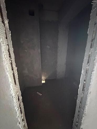 5: 1 комната, 55 м², Восток-5 мкр Элитка, 5 этаж, ПСО (под самоотделку) — 4