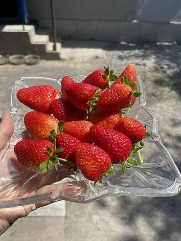 слива ягоды: Клубника — 3