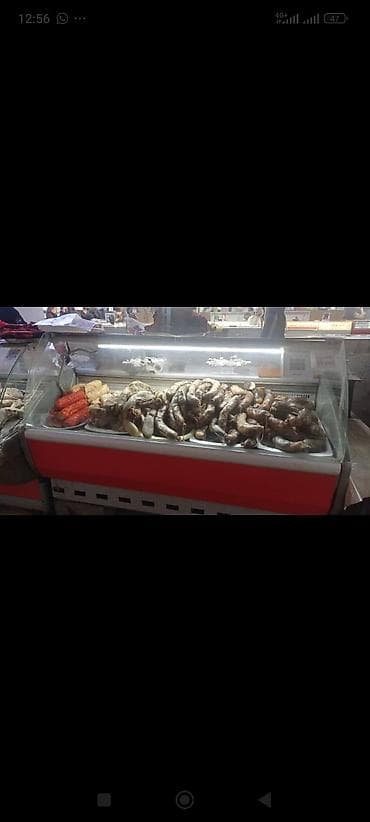 Холодильное оборудование: Для мяса, мясных изделий — 1