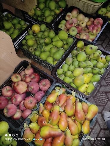 село петровка дом: Дом, 80 м², 8 комнат, Собственник, Старый ремонт — 9