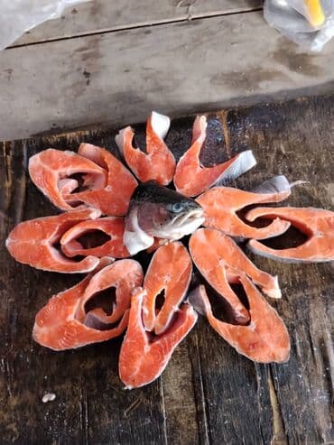 Балыктар: Продаётся радужная форель 1,2 - 1,6 кг. Вода проточная, рыба без — 4