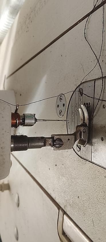 Чалгыла суйлошобуз баасы арзан эле