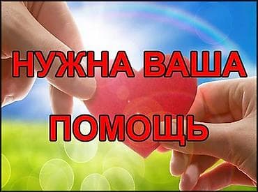 жардам беребиз: Здравствуйте. Просьба откликнуться неравнодушных людей,помочь немного — 1