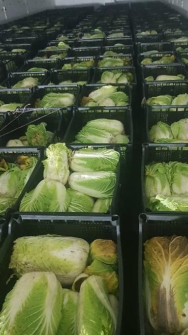 Хозтовары: Басай продоём оптом — 2