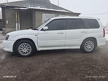суббару форестер: Subaru Forester: 2004 г., 2 л, Автомат, Бензин, Универсал — 4